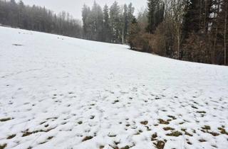 Gewerbeimmobilie kaufen in 3233 Kettenreith, WIESEN Teil 3