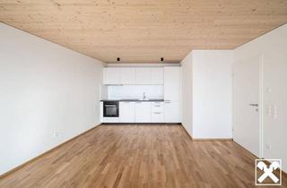 Wohnung mieten in 6890 Lustenau, C15: Erstes eigenes Nest - 2 Zimmerwohnung zur Miete