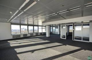 Büro zu mieten in 1220 Wien, Attraktive Bürofläche mit Aussicht | Ares Tower
