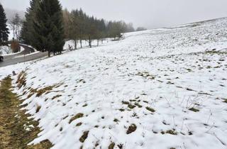Gewerbeimmobilie kaufen in 3233 Kettenreith, WIESEN Teil 2