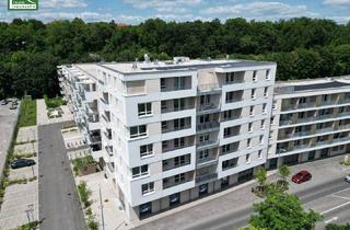 Wohnung mieten in Doktor-Wilhelm-Steingötter-Straße 25, 3100 Sankt Pölten, Steingötterhof: Stadt trifft Natur - Neubauwohnungen in wunderbarer Lage!