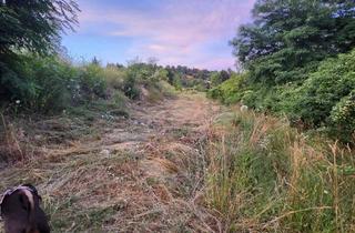 Haus kaufen in 2102 Hagenbrunn, Zubau
