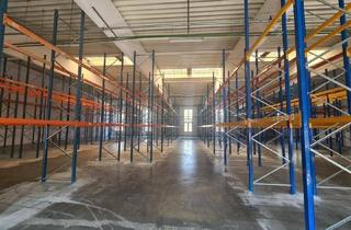 Büro zu mieten in Industriestraße 258, 2722 Weikersdorf am Steinfelde, Große Lagerhalle in Wiener Neustadt