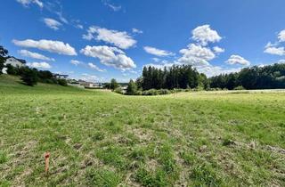 Grundstück zu kaufen in 4240 Freistadt, Schöne Baugrundstücke "vor den Toren von Freistadt"