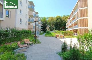 Wohnung mieten in Doktor-Wilhelm-Steingötter-Straße, 3100 Sankt Pölten, Steingötterhof: Stadt trifft Natur - Neubauwohnungen in wunderbarer Lage - JETZT ANFRAGEN