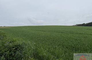 Gewerbeimmobilie kaufen in 3062 Doppel, Acker mit guter Bonität!