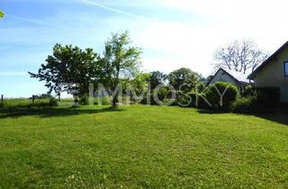 Grundstück zu kaufen in 4600 Wels, CHARMANTES FLECKCHEN NAHE WELS - KEIN BAUZWANG - LEICHTE HANGLAGE