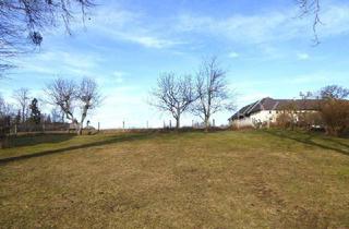 Grundstück zu kaufen in 4600 Wels, LÄNDLICH GELEGEN MIT NÄHE ZUR STADT - 799 M² IN LEICHTER HANGLAGE