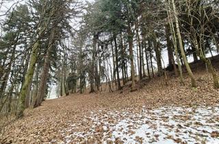 Grundstück zu kaufen in 3233 Rametzberg, Waldgrundstück Teil 7