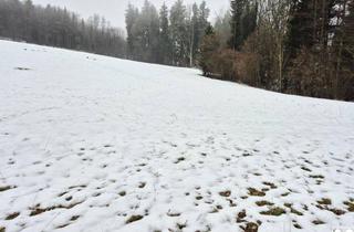 Grundstück zu kaufen in 3233 Kettenreith, WIESEN Teil 3