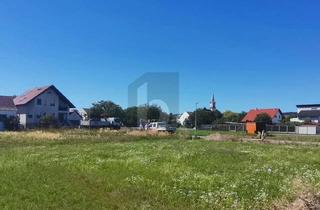 Grundstück zu kaufen in 7083 Purbach am Neusiedler See, RUHIG GELEGEN - 659 M2 - EINER VON VIER BAUPLÄTZEN