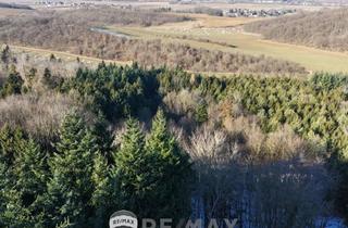 Immobilie kaufen in 3452 Michelndorf, "1,4 ha Wald"