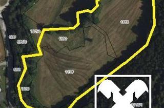 Grundstück zu kaufen in 3233 Rametzberg, WIESEN Teil 4
