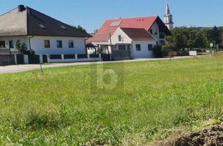 Grundstück zu kaufen in 7083 Purbach am Neusiedler See, RUHIG GELEGEN - 570 M2 - EINER VON VIER BAUPLÄTZEN