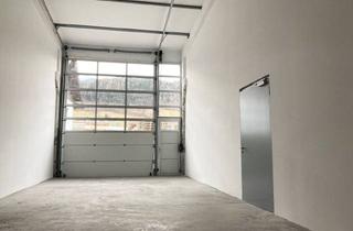 Lager mieten in Salzburger Straße 24, 6060 Hall in Tirol, Großzügige Lagerhalle mit Sektionaltor