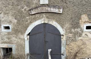 Lager kaufen in 7092 Winden am See, In Vino Veritas! Historischer Weinkeller im Eigentum in Winden am See
