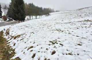 Grundstück zu kaufen in 3233 Kettenreith, WIESEN Teil 2