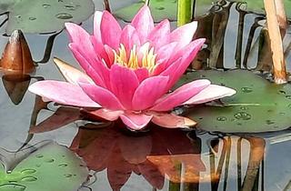 Gewerbeimmobilie kaufen in Hermagor Nassfeld Presseggersee, 9620 Hermagor, B&B - Frühstückspension - Hermagor Nassfeld Presseggersee