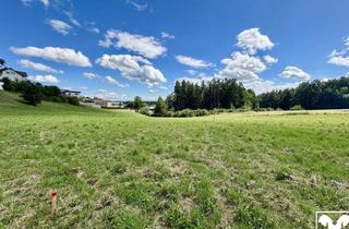 Grundstück zu kaufen in 4240 Freistadt, Schöne Baugrundstücke "vor den Toren von Freistadt"