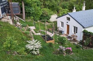 Haus mieten in 1140 Wien, Idyllisches, generalsaniertes Haus mit romantischem Naturgarten im Wienerwald, im Westen von Wien