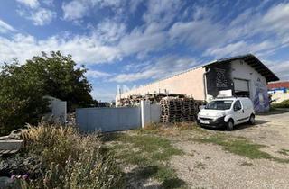 Gewerbeimmobilie mieten in 2120 Wolkersdorf im Weinviertel, Im Speckgürtel von WienGewerbehalle mit Außenbereich
