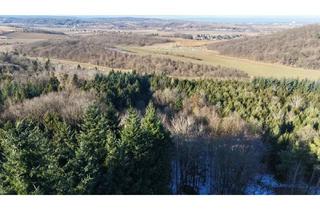 Gewerbeimmobilie kaufen in 3451 Michelhausen, "1,4 ha Wald"