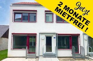 Wohnung mieten in Zwettler Str. 4/5, 3804 Allentsteig, Wohnung in Allentsteig