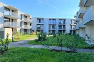 Wohnung mieten in Vogelweiderstraße 45A, 4600 Wels, WOHNEN IN WELS MIT TERRASSE UND GARTEN - 2 ZIMMER - TOP 06