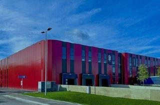 Büro zu mieten in 2100 Korneuburg, Logistik & Business Park K01 Tempos