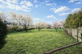 Grundstück zu kaufen in 7062 Sankt Margarethen im Burgenland, Ihr Platz fürs Familienleben – Baugrundstück 796 m² in St. Margarethen