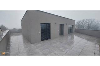 Wohnung kaufen in 2122 Münichsthal, TOP-Lage!! 94m² Sonniger Erstbezug mit 4 Zimmern & 2 großen Terrassen