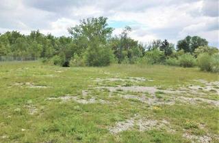  in 2700 Wiener Neustadt, [05390] Betriebsgrundstück nahe hoch frequentierter Straße zu mieten.