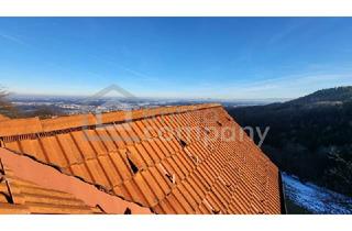 Haus kaufen in 8510 Stainz, Selten. Ruhig. Außergewöhnlich. Hoch über Stainz!