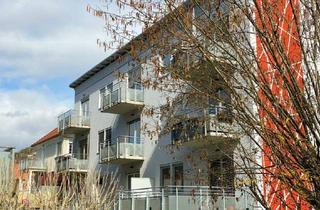 Wohnung mieten in Mariatrosterstraße 158, 8044 Graz, Neubau-Garconniere in Mariatrost + extra Küche+ Balkon, unbefristet