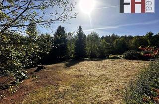 Grundstück zu kaufen in 3032 Eichgraben, Traumgrund in sonniger Aussichtslage