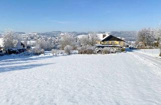 Grundstück zu kaufen in 5163 Mattsee, Bau aufs Glück