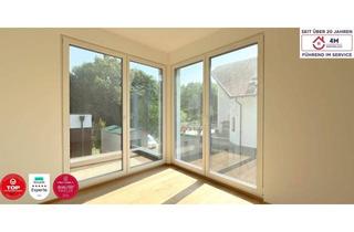 Haus kaufen in 3413 Hintersdorf, GÜNSTIG!! Vier Häuser im Paket zu Verkaufen!