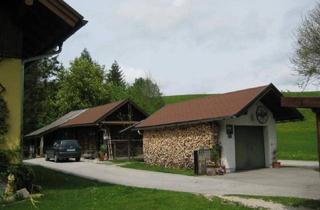 Haus mieten in 5324 Faistenau, Forsthaus Vordersee