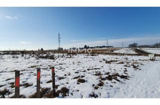 Grundstück zu kaufen in Am Südhang, 3250 Wieselburg, Baugrund mit 926 m² in bester Lage von Wieselburg-Stadt