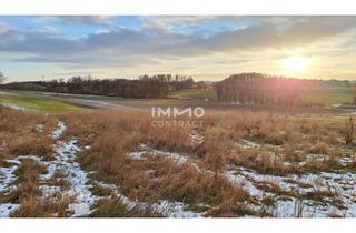 Grundstück zu kaufen in Am Südhang, 3250 Wieselburg, Baugrund mit 926 m² in bester Lage von Wieselburg-Stadt
