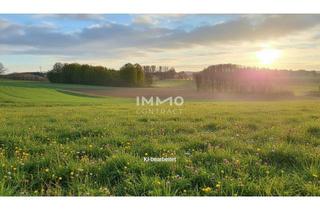 Grundstück zu kaufen in Am Südhang, 3250 Wieselburg, Baugrund mit 926 m² in bester Lage von Wieselburg-Stadt