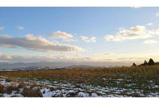 Grundstück zu kaufen in Am Südhang, 3250 Wieselburg, Baugrund mit 873 m² in bester Lage von Wieselburg-Stadt