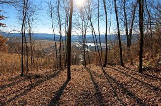 Grundstück zu kaufen in 2100 Leobendorf, Natur vor der Haustür – Grundstück mit Weitblick und Grünlandanschluss