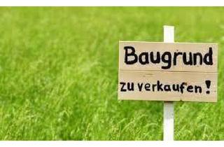 Grundstück zu kaufen in Palting, 5163 Palting, Sehr schön gelegenes Baugrundstück zw. Palting/Perwang