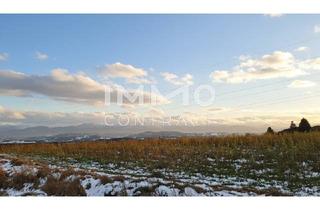 Grundstück zu kaufen in Am Südhang, 3250 Wieselburg, Baugrund mit 873 m² in bester Lage von Wieselburg-Stadt