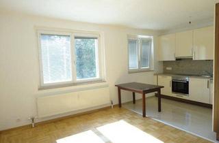 Wohnung mieten in Brühlerstraße 116, 2340 Mödling, 2-Zimmer Wohnung mit Grünblick, Mödling-Hinterbrühl