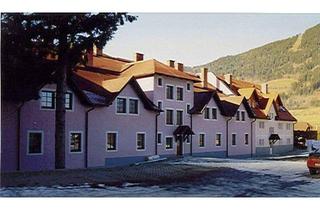 Wohnung mieten in Klamm 70, 8786 Rottenmann, Mietwohnung 33,40m², Top 5