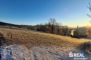 Grundstück zu kaufen in 4170 Haslach an der Mühl, Sonniger Baugrund mit Aussicht über Haslach an der Mühl
