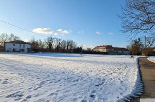 Grundstück zu kaufen in 4614 Marchtrenk, Baugrund in Top Lage in Marchtrenk sucht Anleger bzw. Bauträger - mind. 1500 und max. 6000 m² - Widmung Wohngebiet