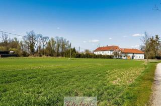 Grundstück zu kaufen in 4614 Marchtrenk, Baugrund in Top Lage in Marchtrenk Sucht Anleger Bzw. Bauträger - Mind. 1500 und Max. 6000 m² - Widmung Wohngebiet